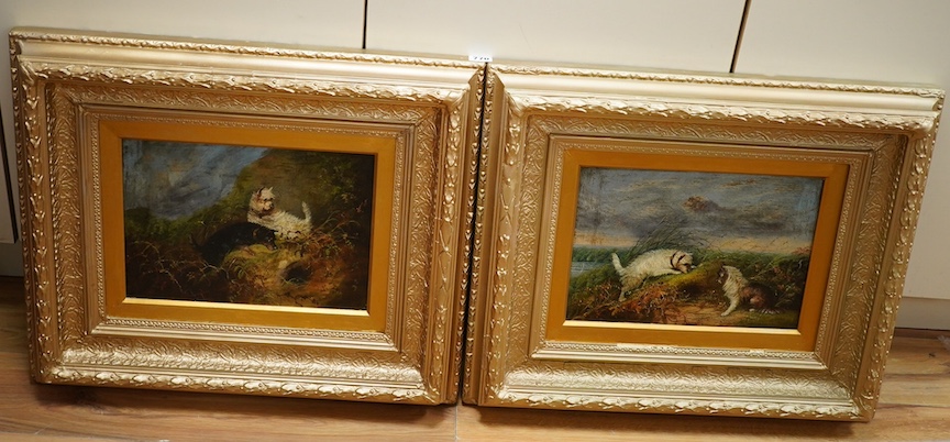 J. Langlois (British 1855-1904), pair of oils on canvas, Terriers ratting, signed, 24 x 34cm, ornately framed. Condition - fair